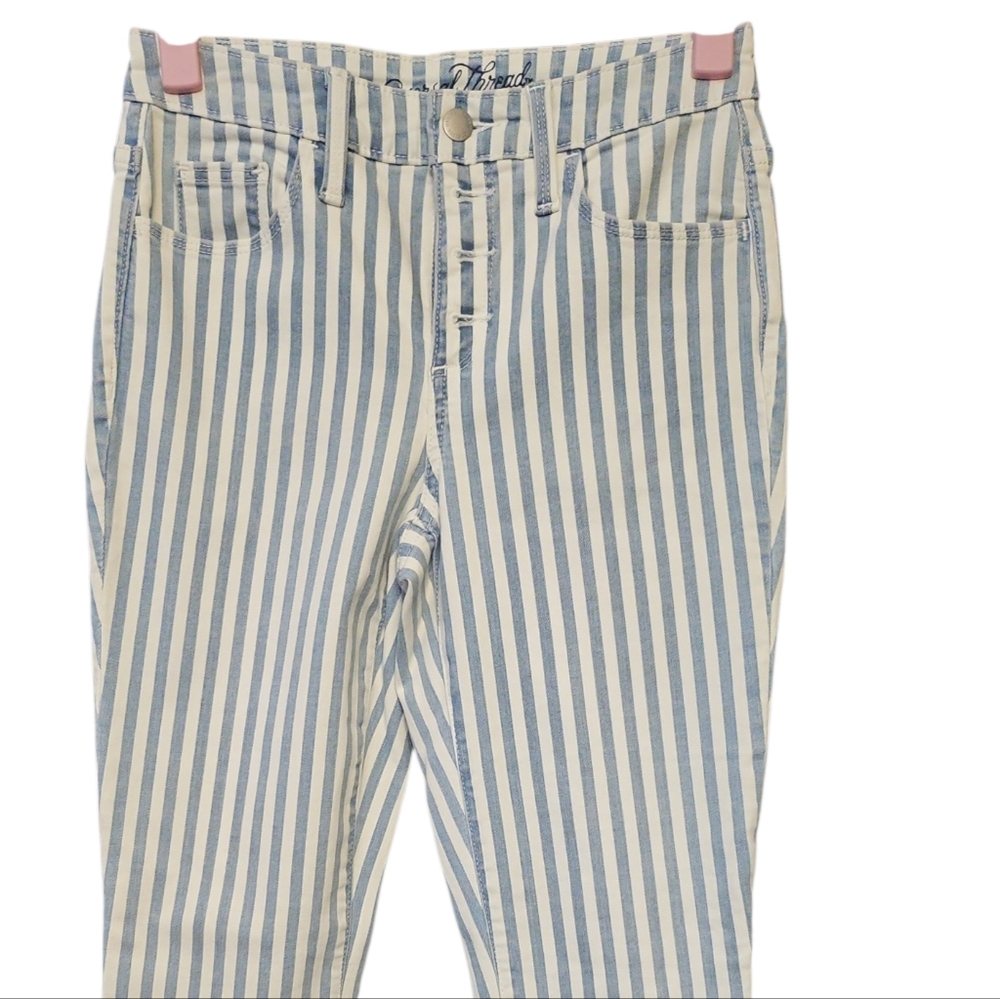 Universal Thread Striped Skinny Jeans in Blue and White